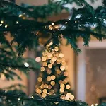 Готель Hotel Bansko Бансько