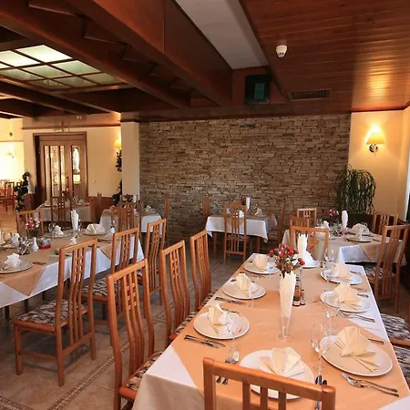 מלון Hotel Bansko בנסקו