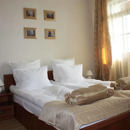 Hotel Bansko מלון 4*