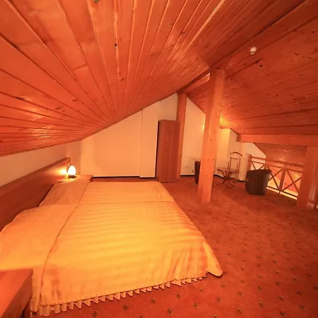 Hotel Bansko בנסקו