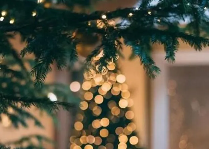 Отель Hotel Bansko Банско